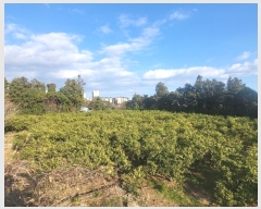  2024Ÿ22988   ȫ 1273-1       (1)