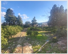  2024Ÿ22988   ȫ 1273-1       (1)