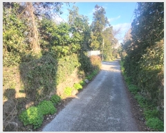  2024Ÿ22988   ȫ 1273-1       (1)