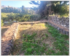  2024Ÿ22988   ȫ 1273-1       (1)