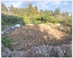  2024Ÿ22988   ȫ 1273-1       (1)