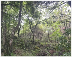  2024Ÿ25611  ֽ õ  99-3      (Ӿ)