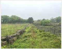  2024Ÿ25611  ֽ õ  99-3      (Ӿ)