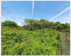  2024Ÿ25611  ֽ õ  99-3      (Ӿ)