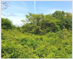  2024Ÿ25611  ֽ õ  99-3      (Ӿ)