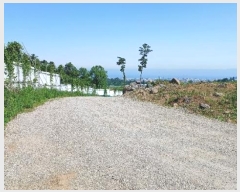  2024Ÿ��26331 ���� ���ֽ� ��� 146       ����(������)���