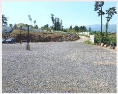  2024Ÿ��26331 ���� ���ֽ� ��� 146       ����(������)���