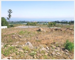  2024Ÿ��26331 ���� ���ֽ� ��� 146       ����(������)���