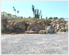  2024Ÿ��26331 ���� ���ֽ� ��� 146       ����(������)���