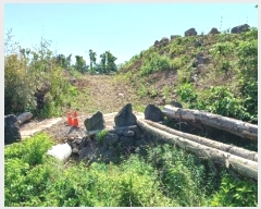  2024Ÿ��26331 ���� ���ֽ� ��� 146       ����(������)���