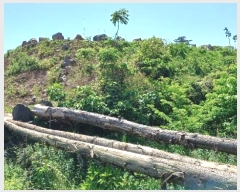  2024Ÿ��26331 ���� ���ֽ� ��� 146       ����(������)���