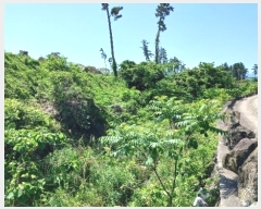  2024Ÿ��26331 ���� ���ֽ� ��� 146       ����(������)���