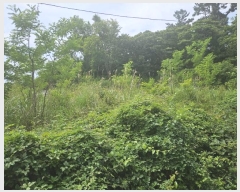  2024Ÿ��26928 ���� ���ֽ� �ֿ��� ������ 1056-2      ����(�Ӿ�)���