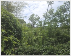  2024Ÿ��26928 ���� ���ֽ� �ֿ��� ������ 1056-2      ����(�Ӿ�)���