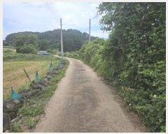  2024Ÿ��26928 ���� ���ֽ� �ֿ��� ������ 1056-2      ����(�Ӿ�)���