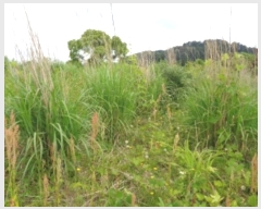  2024Ÿ��26928 ���� ���ֽ� �ֿ��� ������ 1056-2      ����(�Ӿ�)���