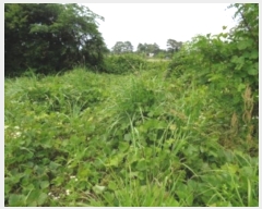  2024Ÿ��26928 ���� ���ֽ� �ֿ��� ������ 1056-2      ����(�Ӿ�)���