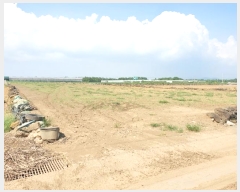  2024Ÿ30958     1065-7      (Ӿ)