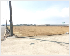  2024Ÿ30958     1065-7      (Ӿ)