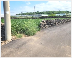  2024Ÿ��31944  �����