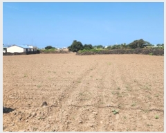  2024Ÿ��31944  �����