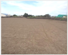  2024Ÿ��31944  �����