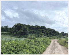  2024Ÿ��32305  �Ӿ߰��