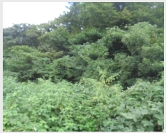  2024Ÿ��32305  �Ӿ߰��