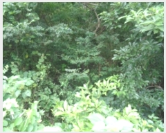  2024Ÿ��32305  �Ӿ߰��