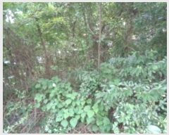  2024Ÿ��32305  �Ӿ߰��