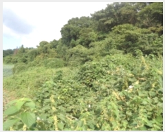  2024Ÿ��32305  �Ӿ߰��