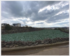  2024Ÿ��32930 ���� ���ֽ� �ֿ��� ������ 820-1      ����(��1)���