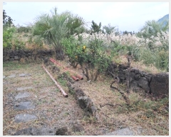  2024Ÿ33957   ȴ ȭ56 20-18      ð