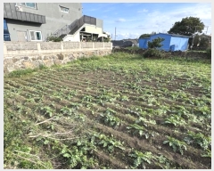  2024Ÿ34776     2698-13      (1)