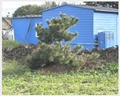  2024Ÿ34776     2698-13      (1)