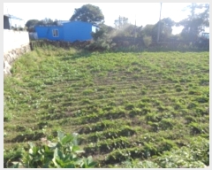  2024Ÿ34776     2698-13      (1)