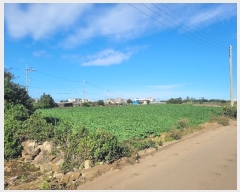  2024Ÿ34868    ϸ 286-8      (1)