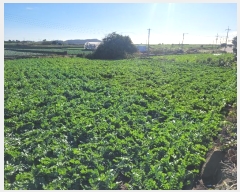  2024Ÿ34868    ϸ 286-8      (1)