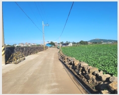  2024Ÿ34868    ϸ 286-8      (1)