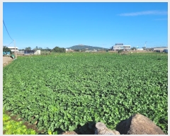  2024Ÿ34868    ϸ 286-8      (1)