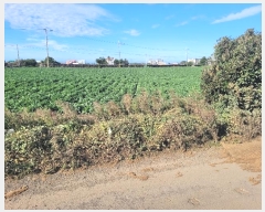  2024Ÿ34868    ϸ 286-8      (1)