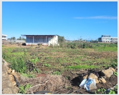  2024Ÿ34868    ϸ 286-8      (1)