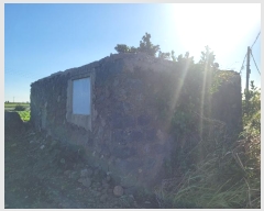  2024Ÿ34868    ϸ 286-8      (1)