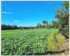  2024Ÿ35120     2633      ()