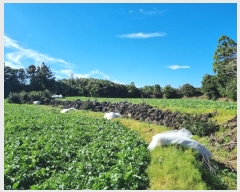  2024Ÿ35120     2633      ()