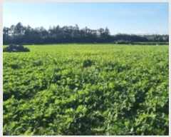  2024Ÿ35120     2633      ()