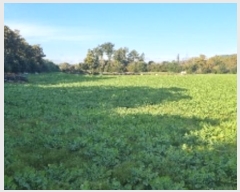  2024Ÿ35120     2633      ()