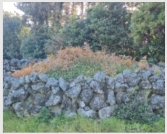  2024Ÿ35120     2633      ()