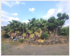  2024Ÿ35670  ֽ Ѹ 븮 3530      ,â