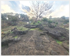  2024Ÿ35670  ֽ Ѹ 븮 3530      ,â